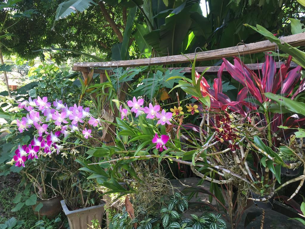 Ban Vivanh Chambres D'Hotes Luangprabang Kültér fotó